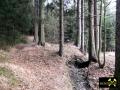 Bergschadensbereich auf dem Neuglück Flachen am Grünlaßbach bei Schlettau, Revier Annaberg, Erzgebirge, Sachsen, (D) (4) 02.03.2014.JPG